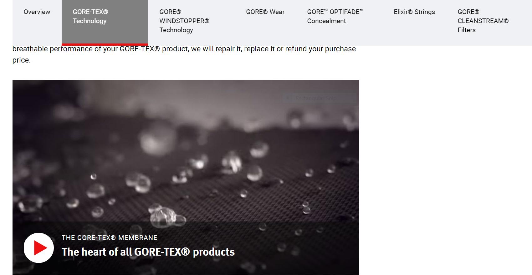 W.L Gore & Associates